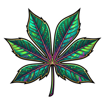 Vibrant Palmately Compound Leaf with Colored Veins.