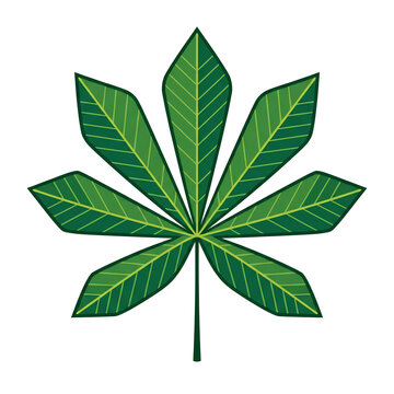 Vivid Green Cannabis Leaf with Seven Leaflets.