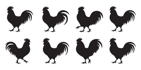 Collection of rooster silhouettes showing various standing walking and alert poses for farm and livestock design. © MONSUR.99