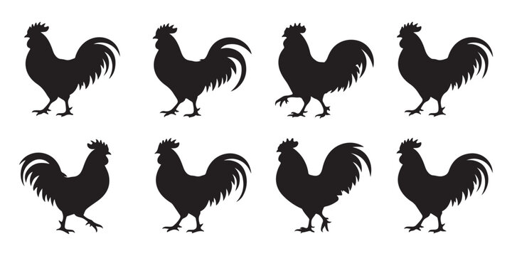 Collection of rooster silhouettes showing various standing walking and alert poses for farm and livestock design.