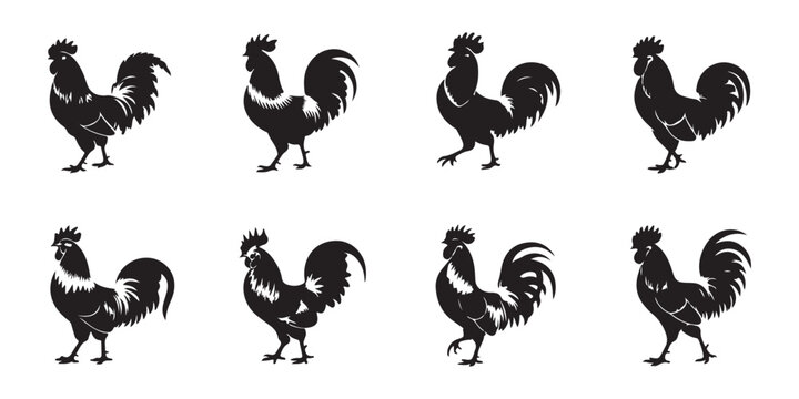 Detailed black silhouette icons of roosters in diverse stances set for agricultural branding and farm imagery.