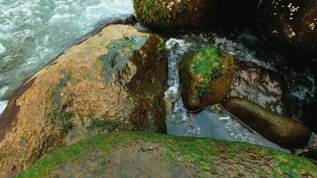 High-angle shot of wet coastal rocks covered in green moss next to a clear tidal pool. Smooth ocean water movement along a natural marine shoreline. 