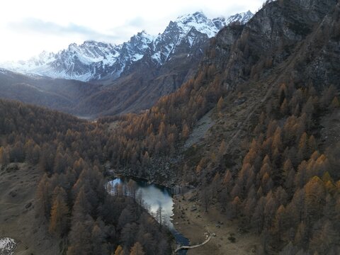 Aerial view of the serene alpine lake nestled within the dense larch forests and dramatic snow-capped mountain peaks of Alpe Devero, Piemonte, Italy.