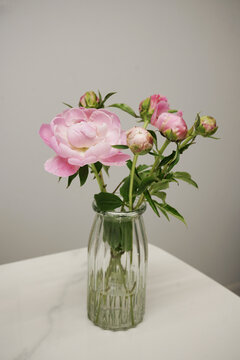 A bouquet of rose in soft tone with background blur