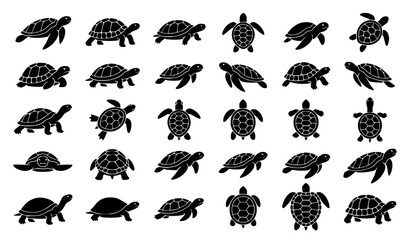 Fototapeta premium Professional Black Turtle Symbol and Silhouette Vector Pack with Various Turtle Styles