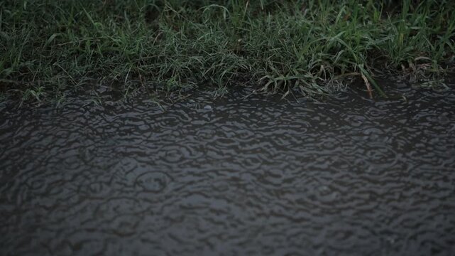 rain drops on the window
