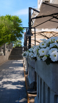 A summer street scene with a charming street cafe featuring a row of tables and chairs, inviting passersby to immerse themselves in the cafe's urban culture.