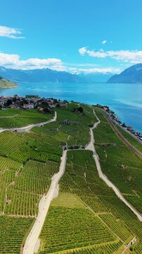 Vertical, aerial: Lavaux terraced vineyards, Lake Geneva and Cully cityscape during the day in Cully, canton of Vaud, Switzerland, dolly in drone shot