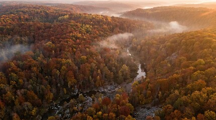 Aerial drone view of a misty autumn forest with a winding river during a golden sunrise hour © ROWSONARA