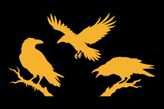 Minimalist golden silhouettes of three ravens in different poses perched, flying, and cawing set against a stark black background, ideal for mystical or gothic graphic designs.