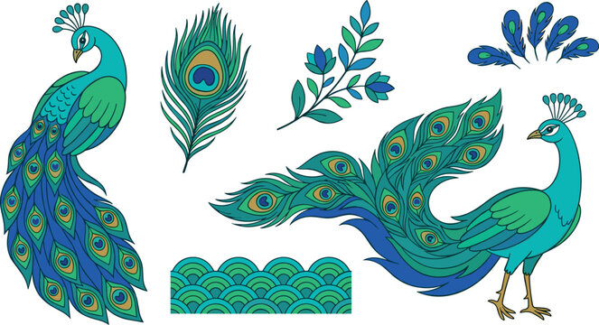 Elegant Peacock Bird Vector Illustration Set with Colorful Feathers Plumage Floral Branch and Decorative Geometric Wave Borders for Luxury Designs