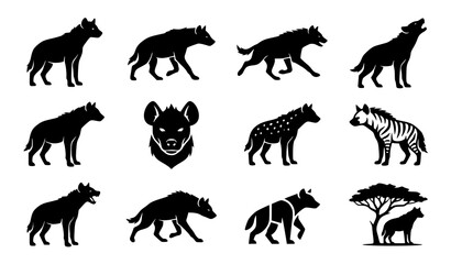Fototapeta premium Hyena silhouette icon set featuring spotted hyena wildlife predator and black vector collection