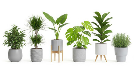 Fototapeta premium Six different plants in modern pots on a white background for decoration
