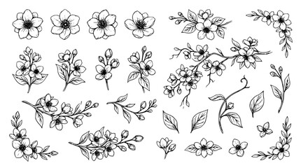 Obraz premium set of hand drawn vector collection of Elegant peony flower blossom. good for branding design, posters, invitation, craft projects. black and white.