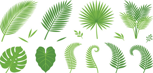 Tropical palm leaves monstera and jungle fern branches flat vector illustration set for summer design © MdMejanur