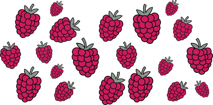Raspberry Collection Flat Vector Illustration Set Isolated on White Background for Food Design