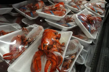 Lobsters on the shelf in grocery store © Igor S.