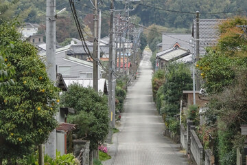 Naklejka premium 日本：岩殿観音 正法寺／寺から見る参道と門前町／埼玉県東松山市