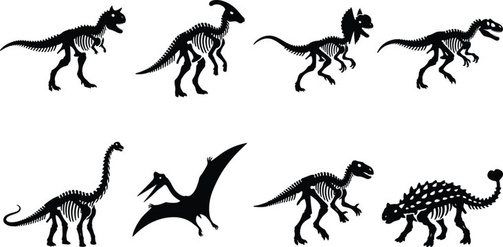 Dinosaur skeleton silhouettes set T rex raptor triceratops pterodactyl black vector collection