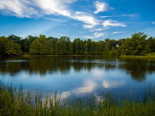 Obraz premium Wetlands pond under a blue sky