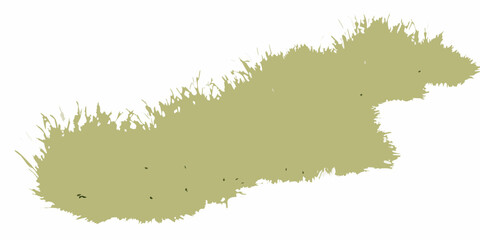 diagonal grass arrangement with flowing motion on white background silhouette natural vegetation botanical plant greenery landscape © Ripan