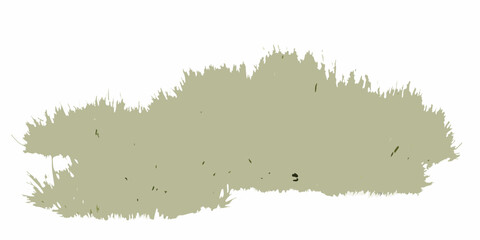 dynamic diagonal grass arrangement with flowing motion on white background natural vegetation botanical plant texture pattern © Ripan