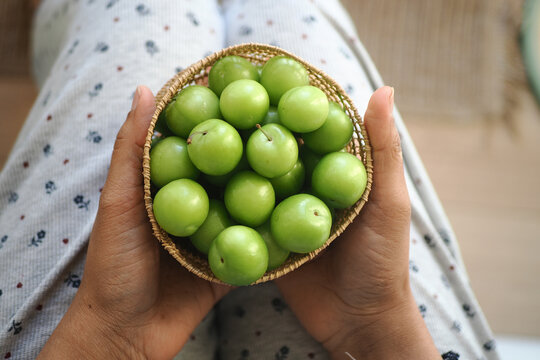 Hands holding a basket of green plums or Can erik