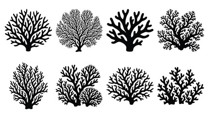 Adobe Illustrator Artwork © Raju