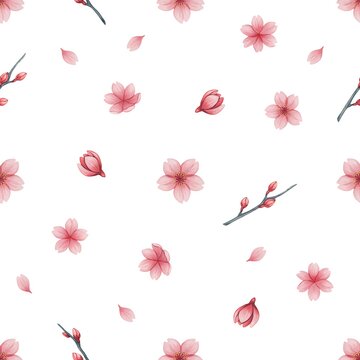Seamless pattern with pink cherry blossom flowers and branches on a white background