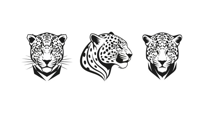 Three detailed leopard head illustrations in black and white.