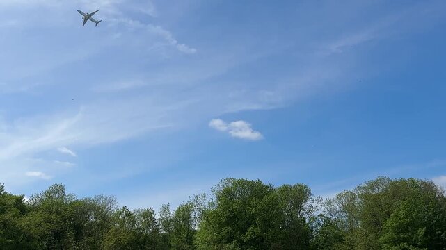 Aircraft flying over Amsterdam Forest park near Schiphol Airport, Netherlands Aircraft flying over Amsterdam Forest