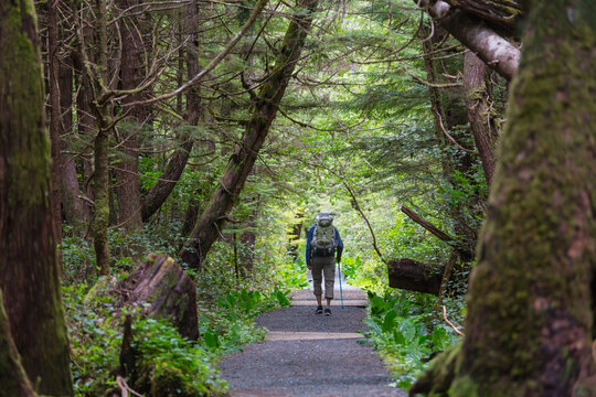Hike on Vancouver forest