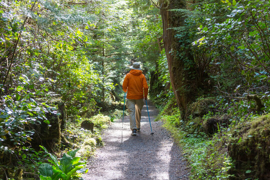 Hike on Vancouver forest