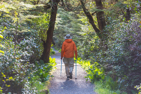 Hike on Vancouver forest