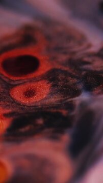 Vertical video. Stains art. Ink background. Defocused orange color chemical acrylic pigment liquid floating on glitter abstraction.