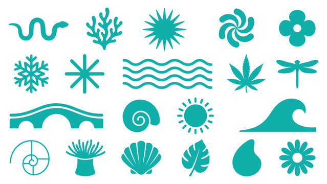Nature elements vector clipart set with waves, sun, shells, snowflakes, and floral icons