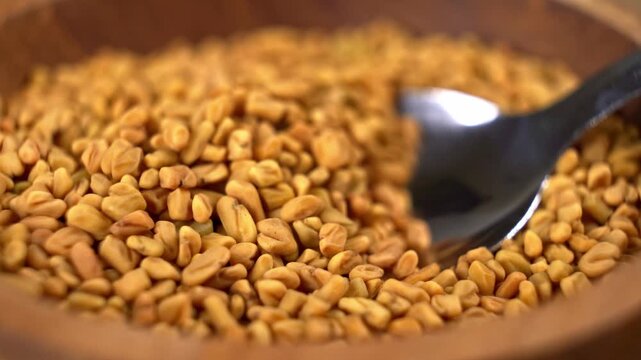 Close up of scooping organic fenugreek seeds with a metal spoon from a wooden bowl