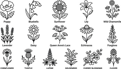 Set of black linear wildflower icons with plant names for botanical design on white background. © Nurchhana