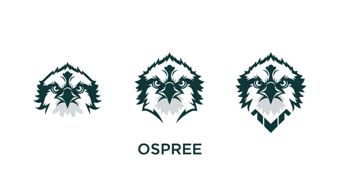 Three Green Osprey Bird Logo Designs on Shield.