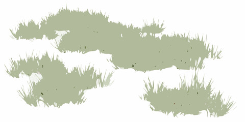 natural scattered grass clusters with varying density on white background vegetation botanical plant flora green transparent © Titul
