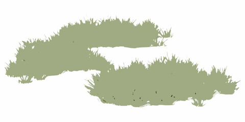 natural scattered grass clusters with varying density on white background vegetation plants botanical green transparent vector © Titul