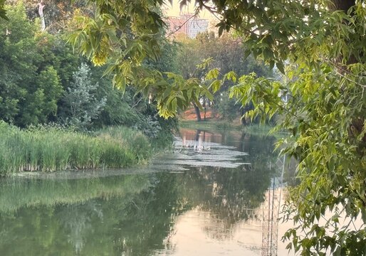 View of the river in the city center
