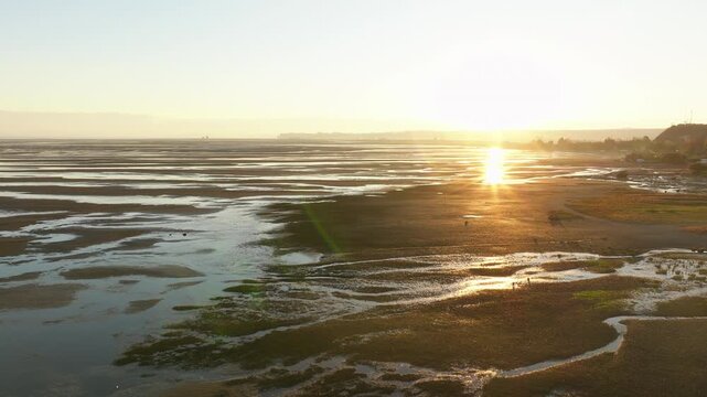 Aerial view moving forward over an estuary at low tide during golden sunset reflecting bright sun on wet sand.