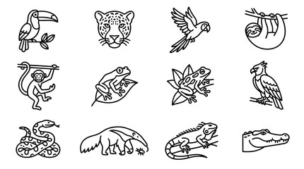 Fototapeta premium Amazon Rainforest Animals Icon Set: Toucan, Jaguar, Parrot, Sloth, Monkey, Frogs, Eagle, Snake, Anteater, Iguana, Crocodile