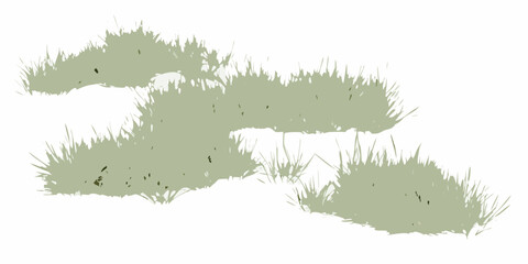 natural scattered grass clusters with varying density on white background vegetation botanical plant flora green transparent © Bebdas