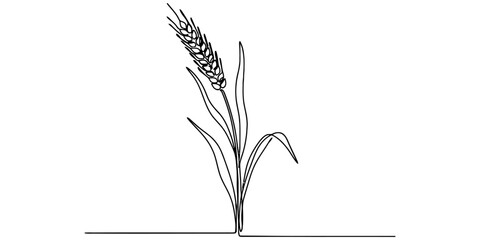 Continuous single line drawing of a wheat stalk Vector, illustration © Alo 2026 Arts