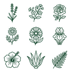 Naklejka premium Set of 9 Hand-Drawn Botanical Illustrations: Flowers, Herbs, and Leaves in Green Outline