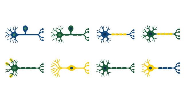 Set of different neuron cell types on a white background