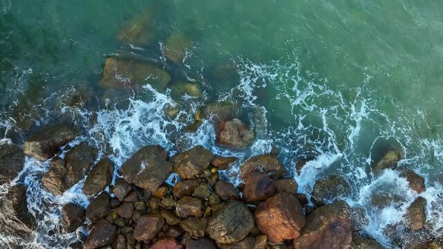 Aerial view of a dense, vibrant green coastal jungle meeting dark blue ocean water. A thin, rocky beach and white foamy waves separate the rugged terrain from the sea.concept	
