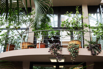 Lush greenery cascades from balconies and railings © gelog67